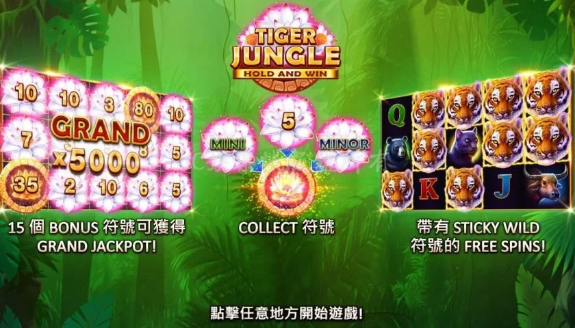 叢林之王 老虎機 諾亞娛樂城 - 諾亞娛樂城｜給你最推薦的 BNG 遊戲： 叢林之王 老虎機